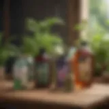 A diverse array of garden pesticides displayed on a wooden table