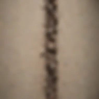 Illustration showing common causes of hairline cracks in walls