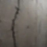 Close-up view of hairline cracks on a wall surface