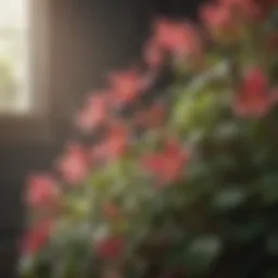 Vibrant honeysuckle flowers in bloom