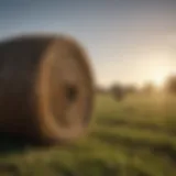 Freshly laid hay covering a grassy field