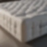 Various mattress types showcasing diverse materials and construction styles.