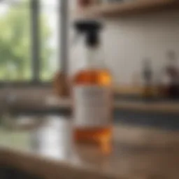 Natural vinegar solution in a spray bottle on a kitchen counter