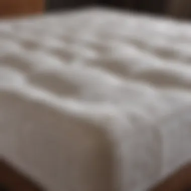 Various types of mattress toppers displayed