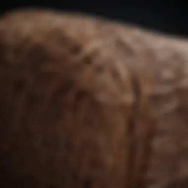 The Art of Wicker: Material Quality and Design Close-up of durable wicker material showcasing craftsmanship and texture