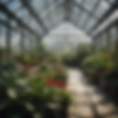 A well-structured year-round greenhouse showcasing diverse plant species.